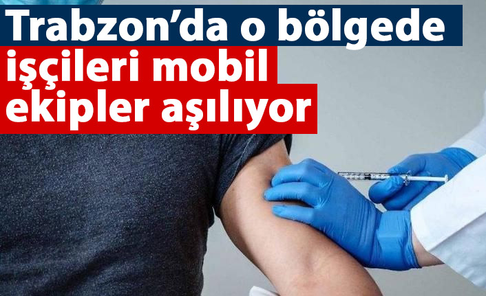 Trabzon'da o bölgedeki çalışanları mobil ekipler aşılıyor