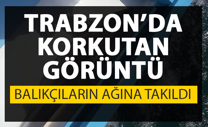 Trabzon'da korkutan görüntü! Balıkçıların ağına takıldı