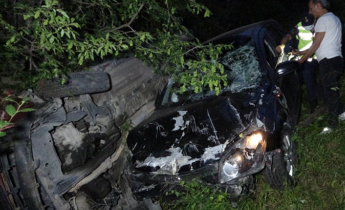 Ölüme 2 metre kala hayatlarını ağaç kurtardı