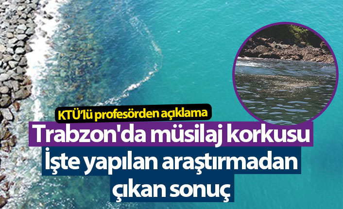 Trabzon'da görüldü Müsilaj korkusu yarattı! Gerçek ortaya çıktı