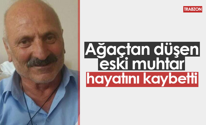 Trabzon'da eski muhtar ağaçtan düşerek öldü