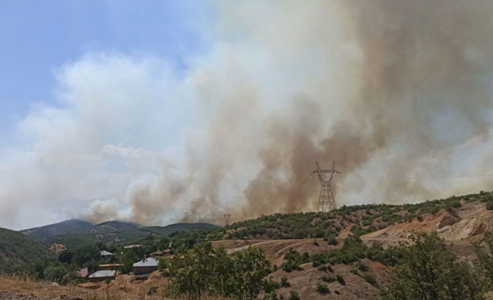 14 gün sonra aynı yerde orman yangını