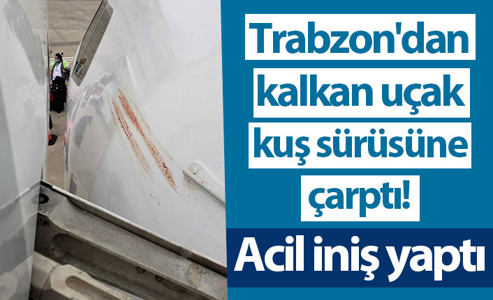 Trabzon'dan kalkan uçak kuş sürüsüne çarptı! Acil iniş yaptı