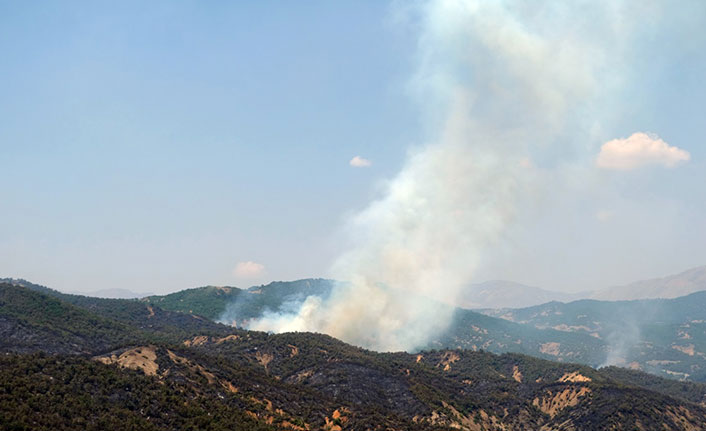 Bingöl'deki orman yangını 3 gündür söndürülemiyor