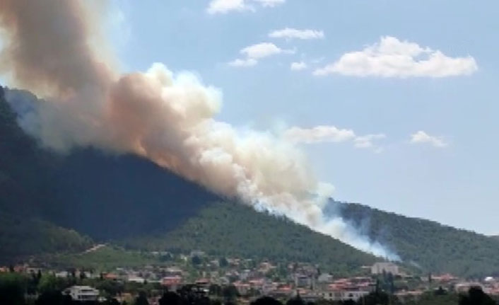 Denizli'deki orman yangını kontrol altına alındı