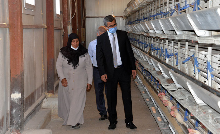 Bakan Pakdemirli'den kadın girişimciye 5 bin hayvanla destek