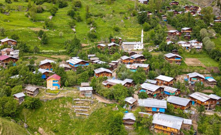 Artvin'de bu köy ilgi topluyor