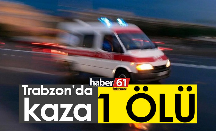 Reşadiye Moloz Kavşağı’nda Kaza: 74 Yaşındaki Kadın Yaşamını Yitirdi