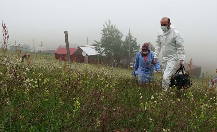 Karadeniz'in yaylalarında aşı seferberliği