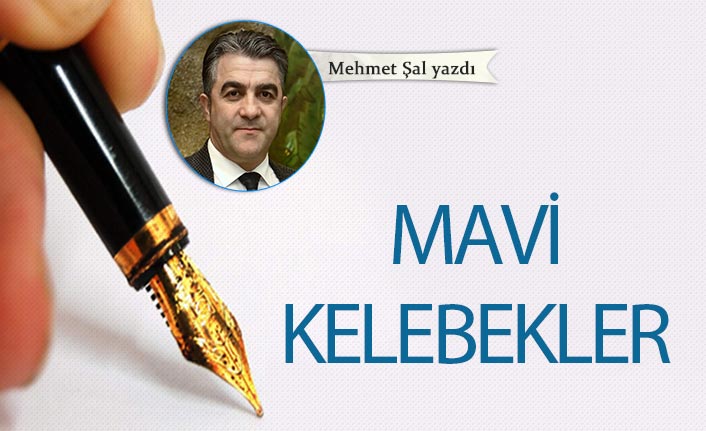 Mavi Kelebekler