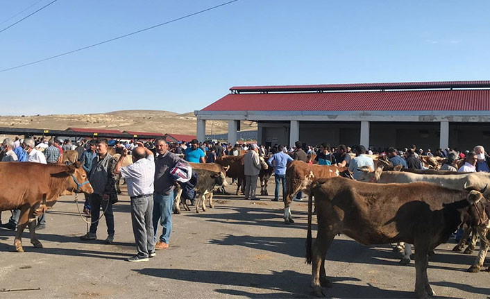 Kurban pazarlarında hareketlilik arttı