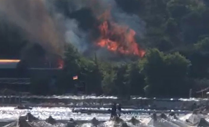 Askeri kamp alanında yangın paniği