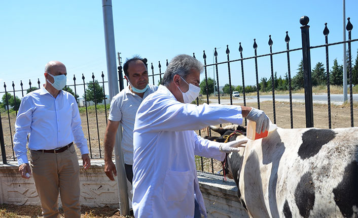 Kene ile mücadele kapsamında muhtarlara ilaç dağıtıldı