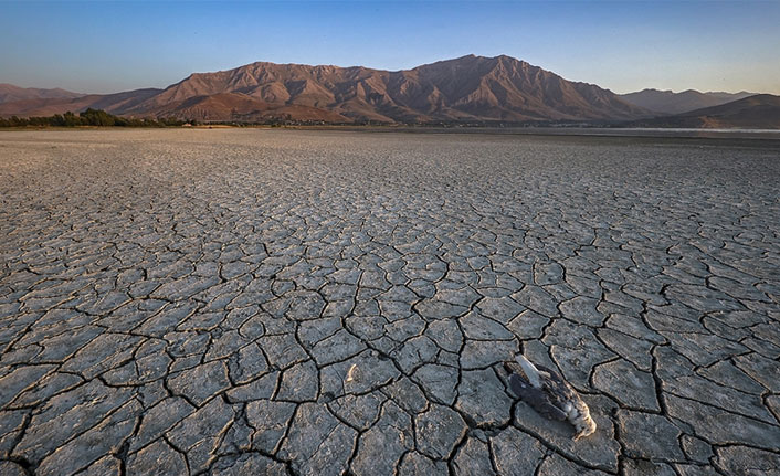 İklim değişikliği Türkiye'de çok fazla etkili olacak