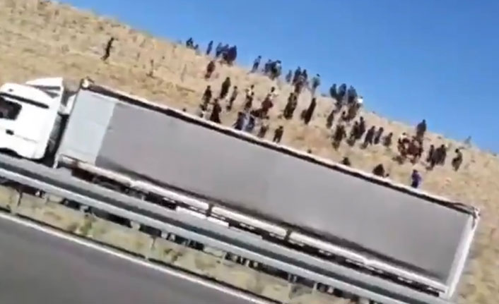 Kaçak yollarla gelip yerleşim yerlerine girdiler