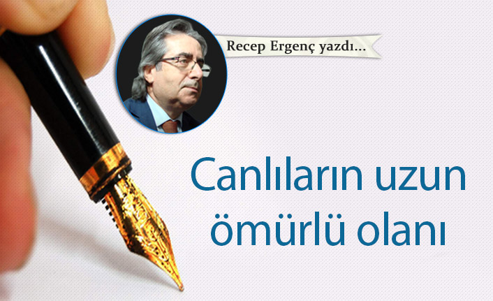 Canlıların uzun ömürlü olanı