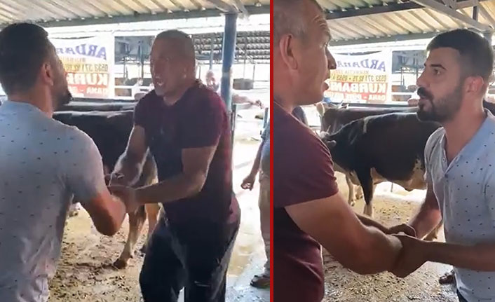 Kurban pazarlığı aşırıya kaçınca kolundan oldu
