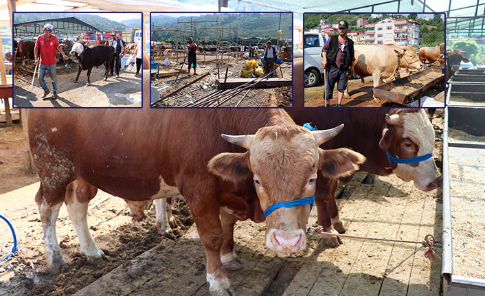 Trabzon'da Kurban pazarında bayram yoğunluğu