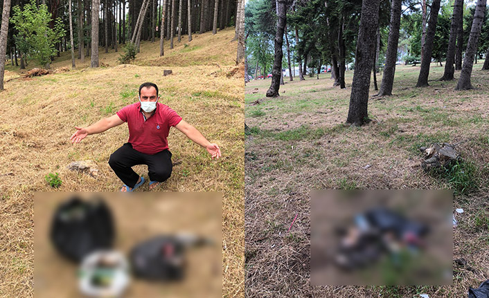 Trabzon'da nefes almaya gelenler iğrenç görüntü ile karşılaşıyor