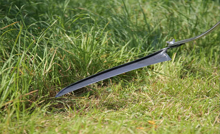 Tırpanla ot biçmek isterken hayatını kaybetti