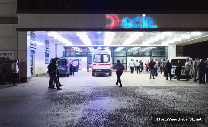 Bayramda tartıştığı kardeşlerini öldürdü