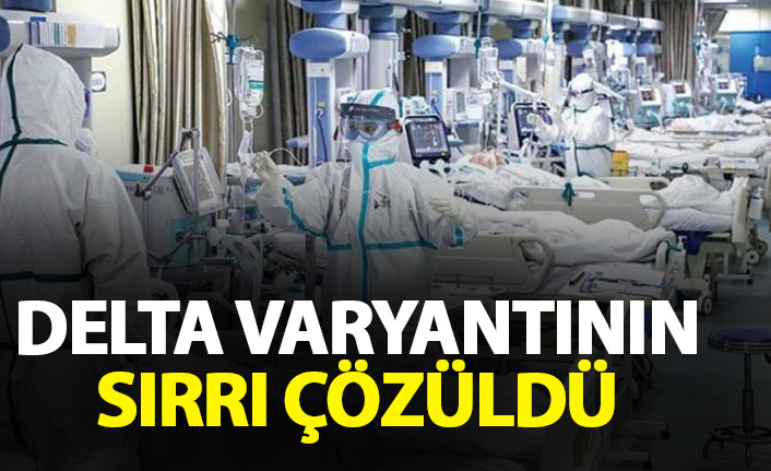Delta varyantının sırrı çözüldü!