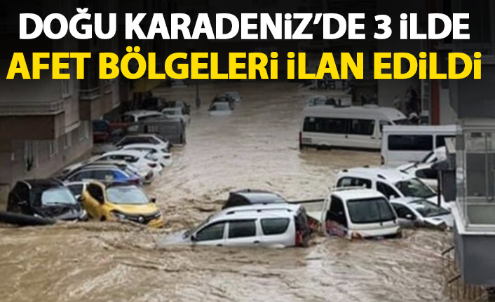 Rize, Artvin ve Düzce afet bölgesi ilan edildi