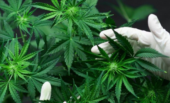 Trabzon’un Of ilçesinde uyuşturucu operasyonu: 2 gözaltı