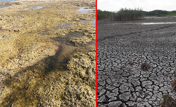 Göl kurudu pişmanlık başladı: Hiç bitmez, tükenmez sandık..