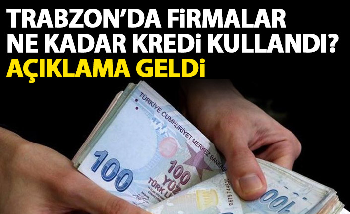 Trabzon'da firmalar ne kadar kredi kullandı?