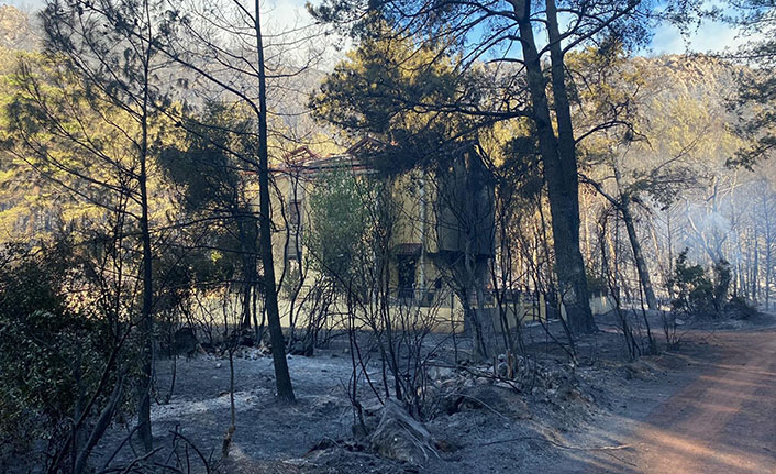 Kitap yakarken ormanı yakmışlar