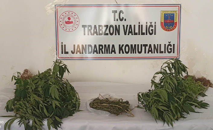 Trabzon’da uyuşturucu üreten şahıslar yakalandı