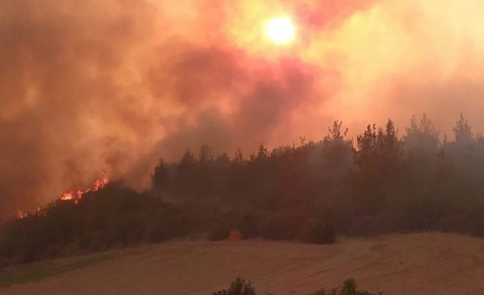 Adana'daki yangın iki ilçeye sıçradı