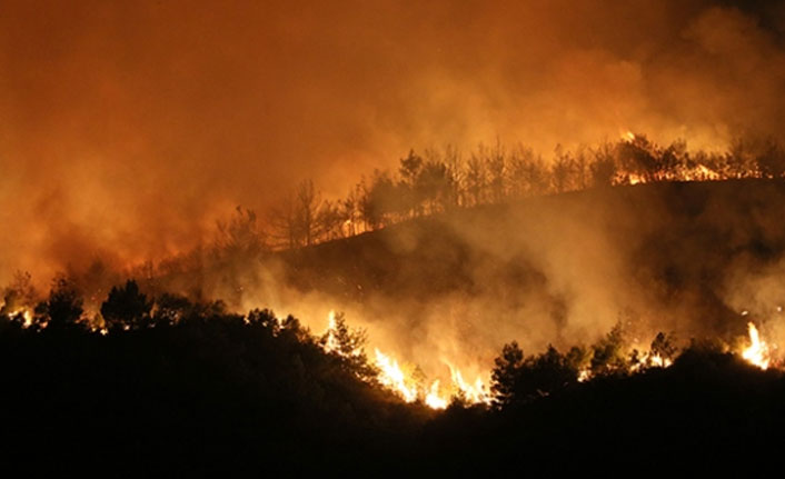 Bakan Pakdemirli: Hatay yangını kontrol altında