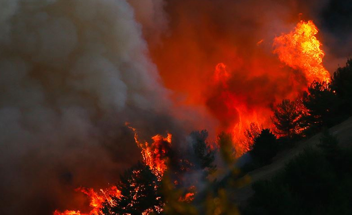 Orman yangınlarında neler yapılmalı? Orman Yangını le karşılaşınca yapılması gerekenler