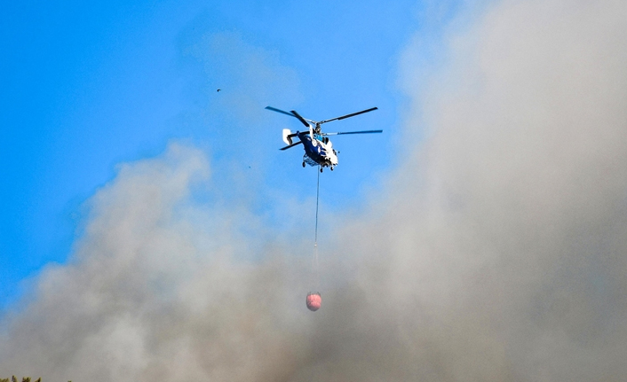 Türkiye'de orman yangınlarında son durum! Bakan açıkladı