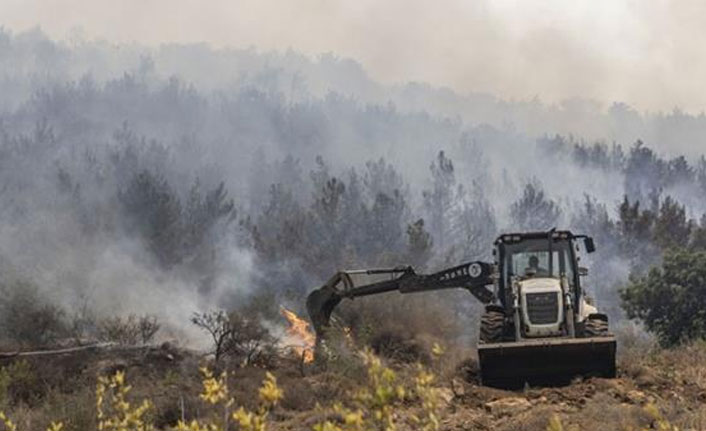 Mersin ve Antalya'dan güzel haber!