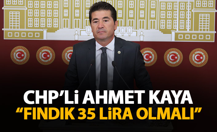 CHP'li Ahmet Kaya: Fındık fiyatı 35 lira olmalı