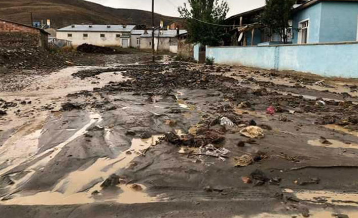 Bayburt'ta sağanak sele sönüştü: 11 hayvan telef oldu