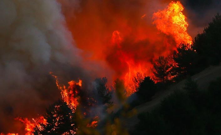 Orman yangınlarında son durum! 132 yangından 125'i kontrol altında