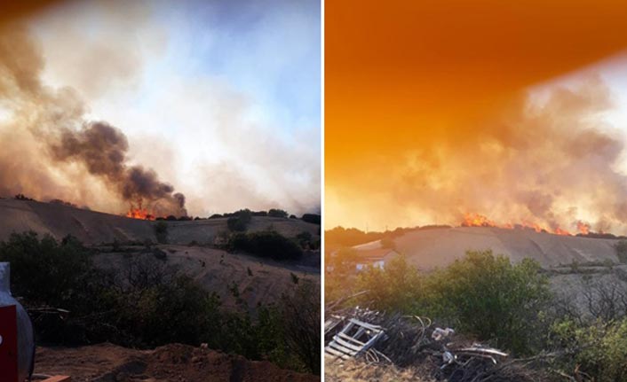 Isparta ve Denizli'de orman yangını