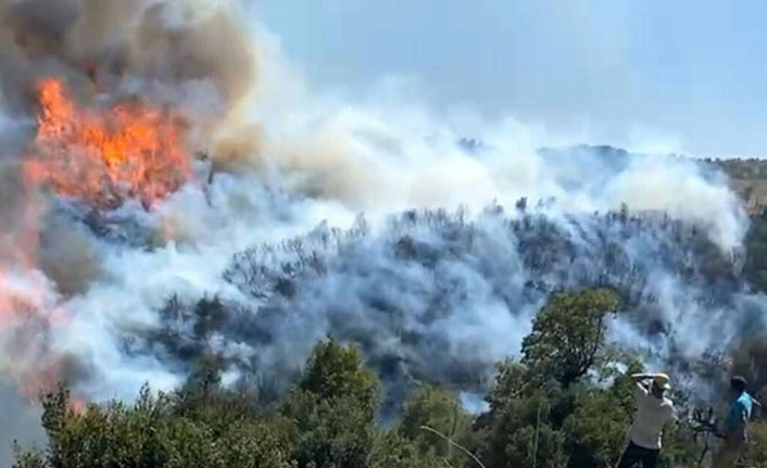 Aydın'da başlayan orman yangını, Muğla'ya sıçradı