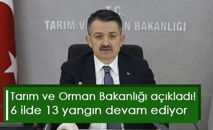Tarım ve Orman Bakanlığı açıkladı! 6 ilde 13 yangın devam ediyor
