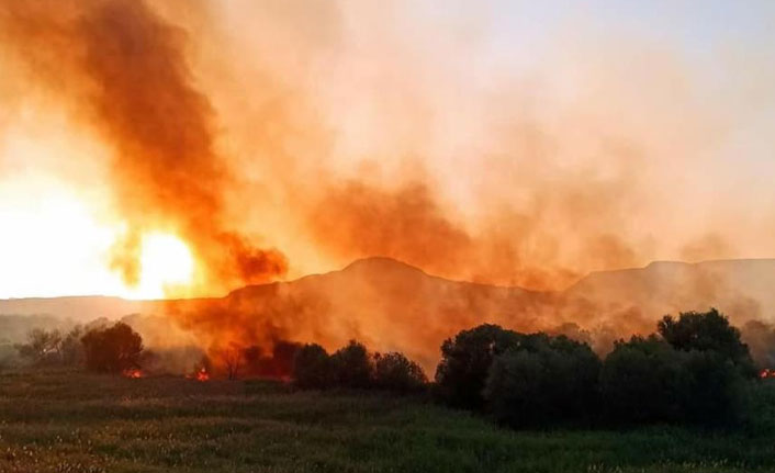 Ankara'da çıkan yangın kontrol altına alındı
