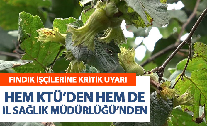 Karadeniz’e 'fındık göçü'nde tarım işçilerine aşı önerisi