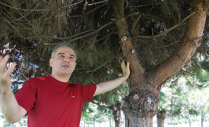 KTÜ'lü profesör orman yangınlarını değerlendirdi: Hazırlıklı olmalıyız!