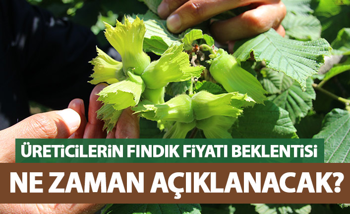 Üreticiler fındık fiyatının açıklanmasını bekliyor