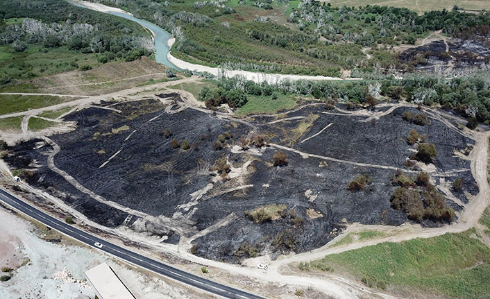 Nallıhan Kuş Cenneti'ndeki yangını kuş çıkarmış