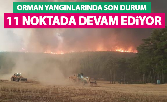 Türkiye'deki orman yangınlarında son durum! 11 noktada devam ediyor