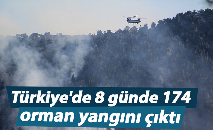 Türkiye'de 8 günde 174 orman yangını çıktı
